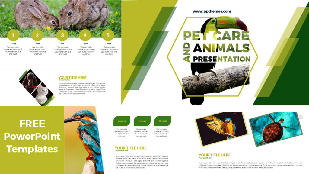 Pet Care and animals presentations in powerpoint templates