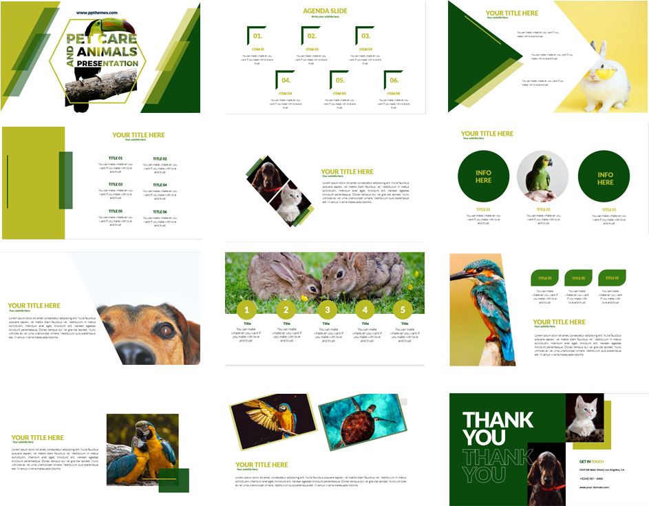 Pet Care and animals presentations in powerpoint templates